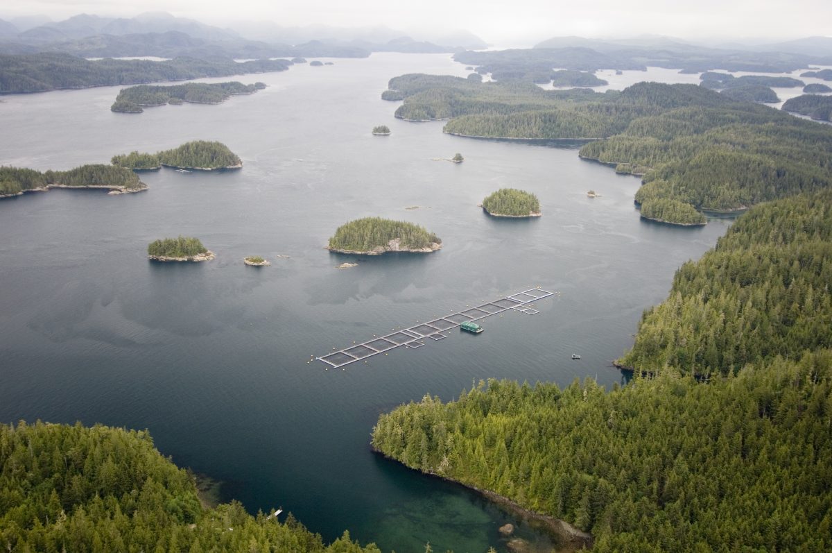 JOINT PRESS RELEASE - Agreements reached for Indigenous Monitoring and Inspection Plan of  Fish Farms in the Broughton Archipelago