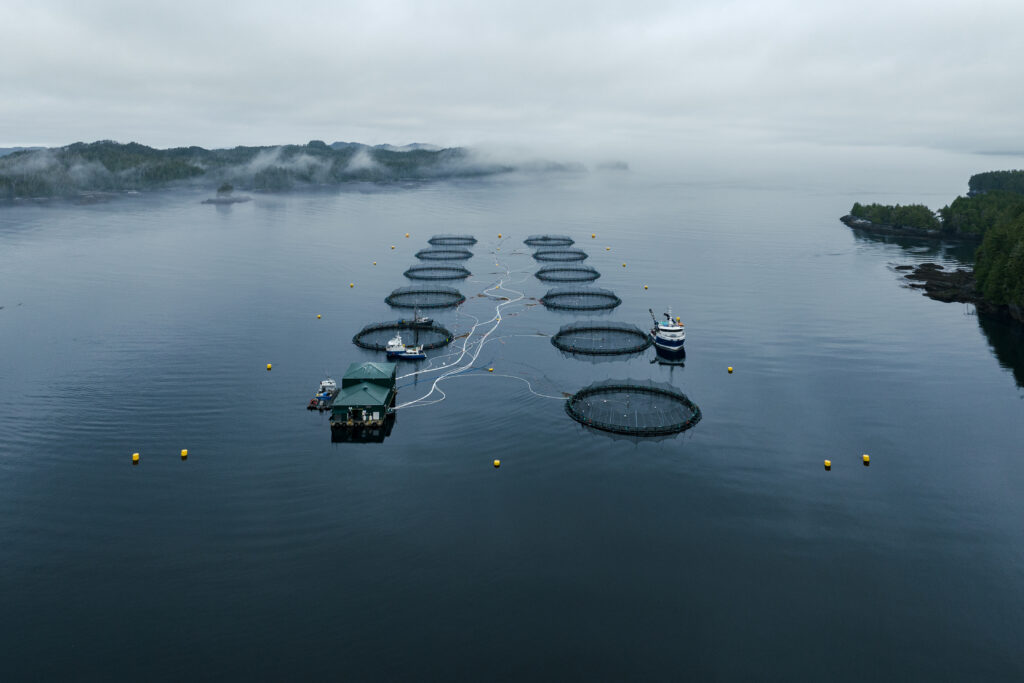 Mowi ASA Response to Canadian Government Salmon Farming Policy