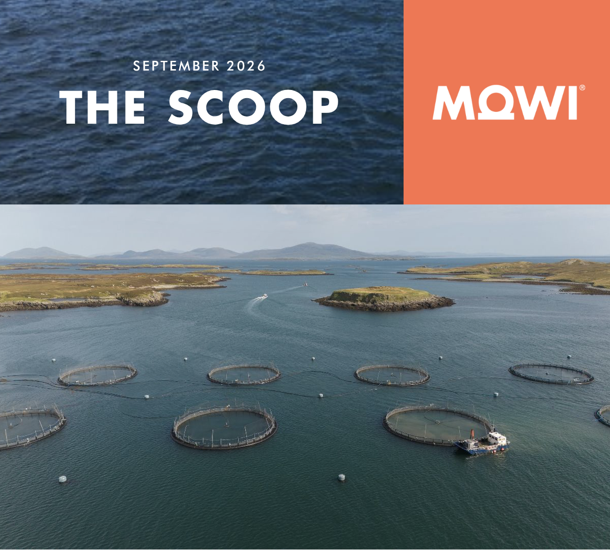 The Scoop - September 2026 newsletter